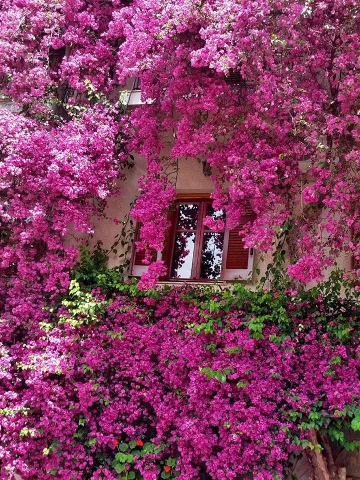 Iliolithos Rooms Kardamyli Extérieur photo